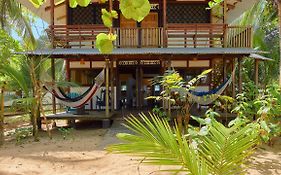 Arrecife Punta Uva - Hospedaje, bar y restaurante - Frente al mar